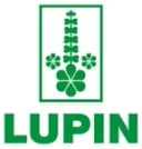 Lupin