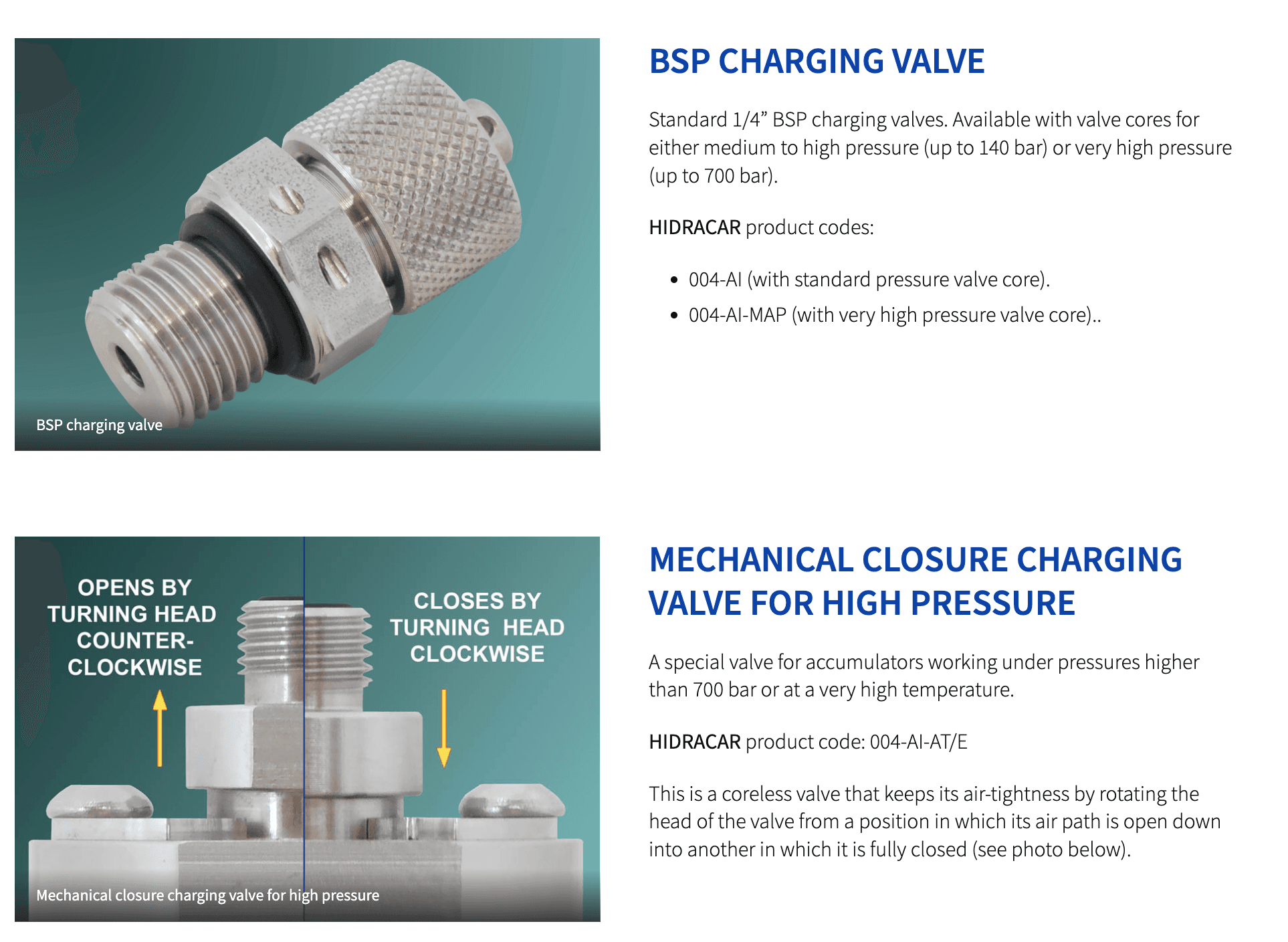 Types of gas charging valves